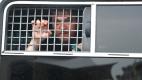 https://www.irishexaminer.com/breakingnews/world/russian-police-arrest-demonstrators-at-protest-against-police-abuse-930357.htm